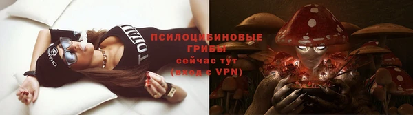гидра Алексеевка