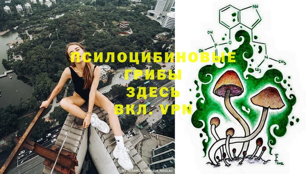 гидра Алексеевка