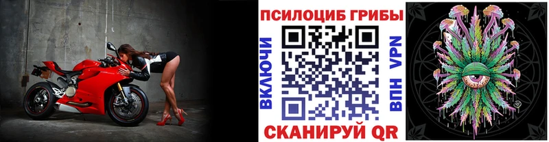 Псилоцибиновые грибы ЛСД  Андреаполь 
